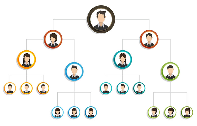 company hierarchy